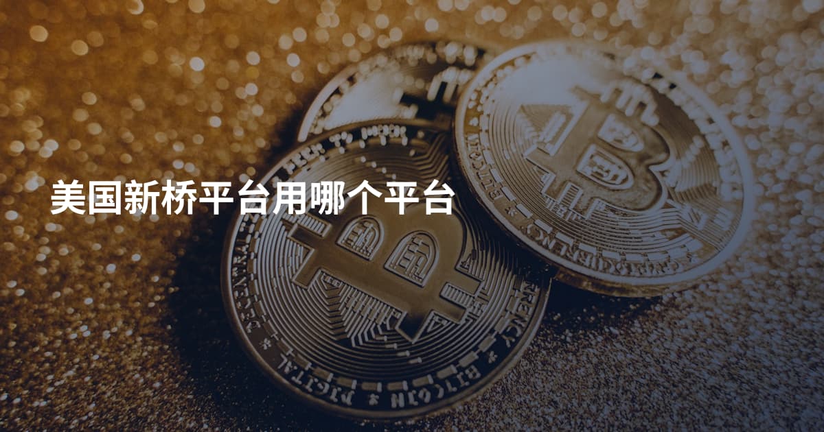 美国新桥平台用哪个平台