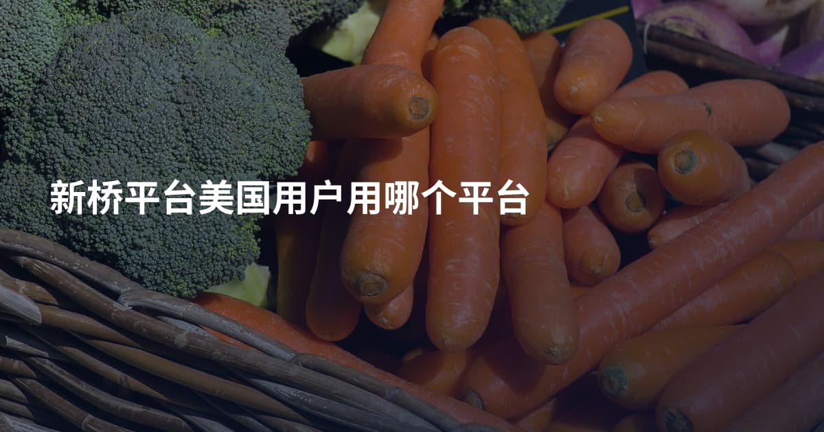 新桥平台美国用户用哪个平台