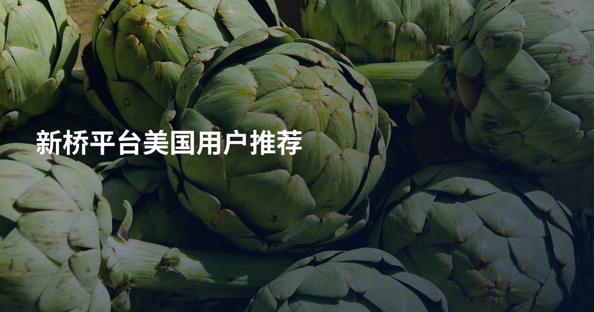 新桥平台美国用户推荐