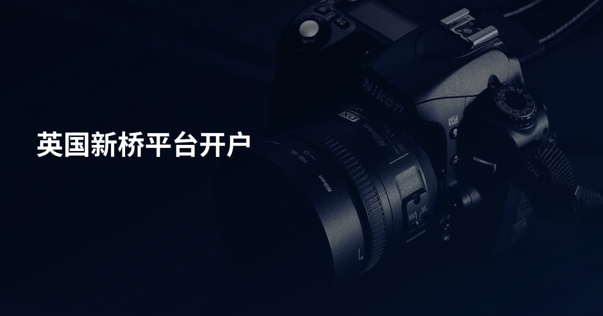 英国新桥平台开户