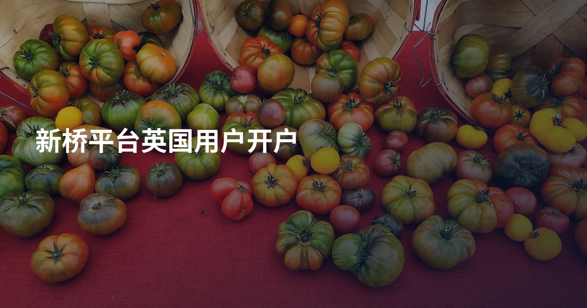 新桥平台英国用户开户