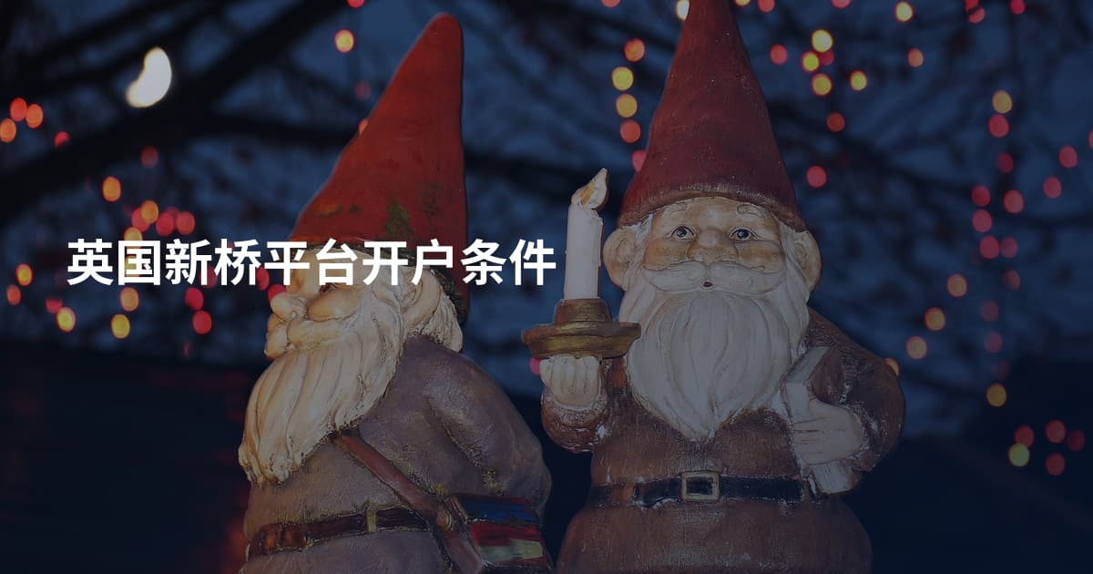 英国新桥平台开户条件