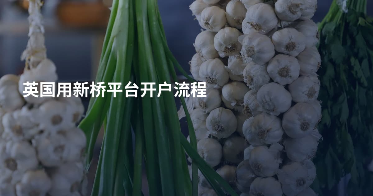 英国用新桥平台开户流程