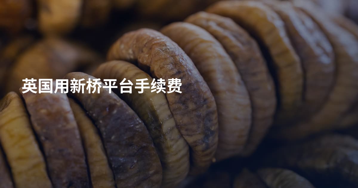 英国用新桥平台手续费