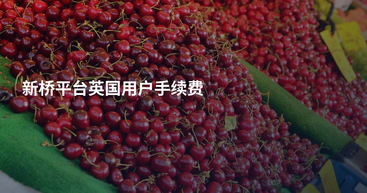 新桥平台英国用户手续费