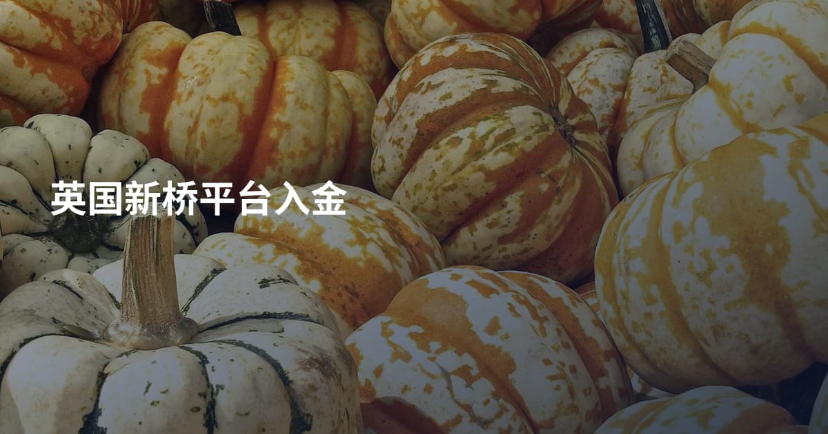 英国新桥平台入金