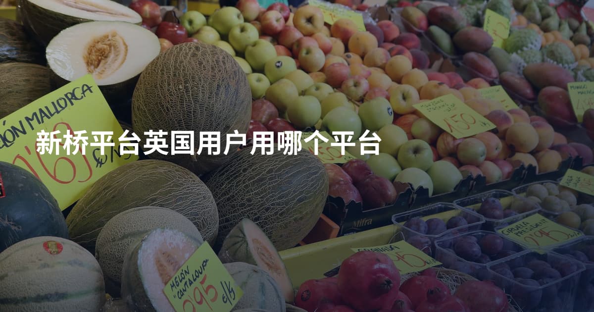 新桥平台英国用户用哪个平台