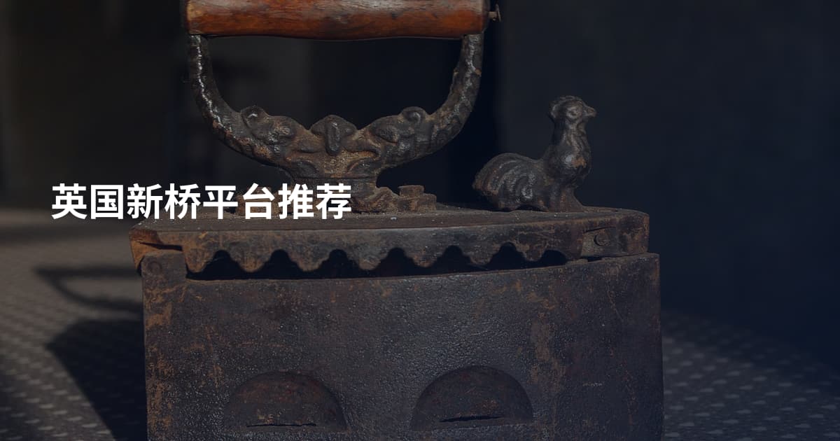 英国新桥平台推荐