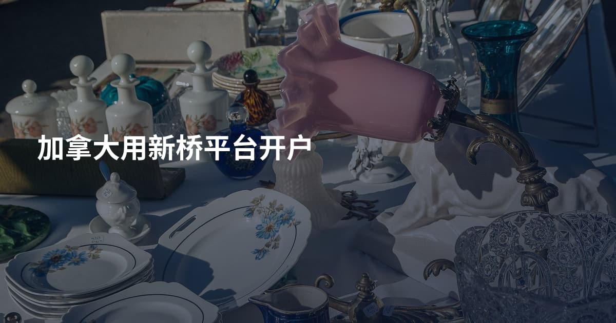 加拿大用新桥平台开户