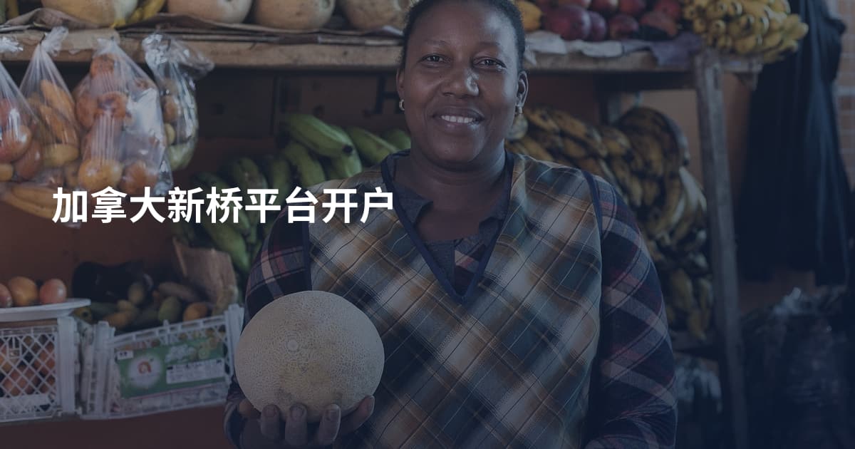 加拿大新桥平台开户
