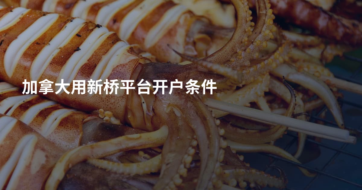 加拿大用新桥平台开户条件