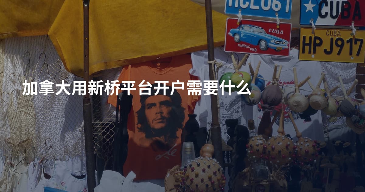 加拿大用新桥平台开户需要什么