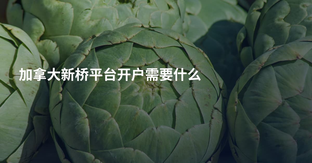 加拿大新桥平台开户需要什么