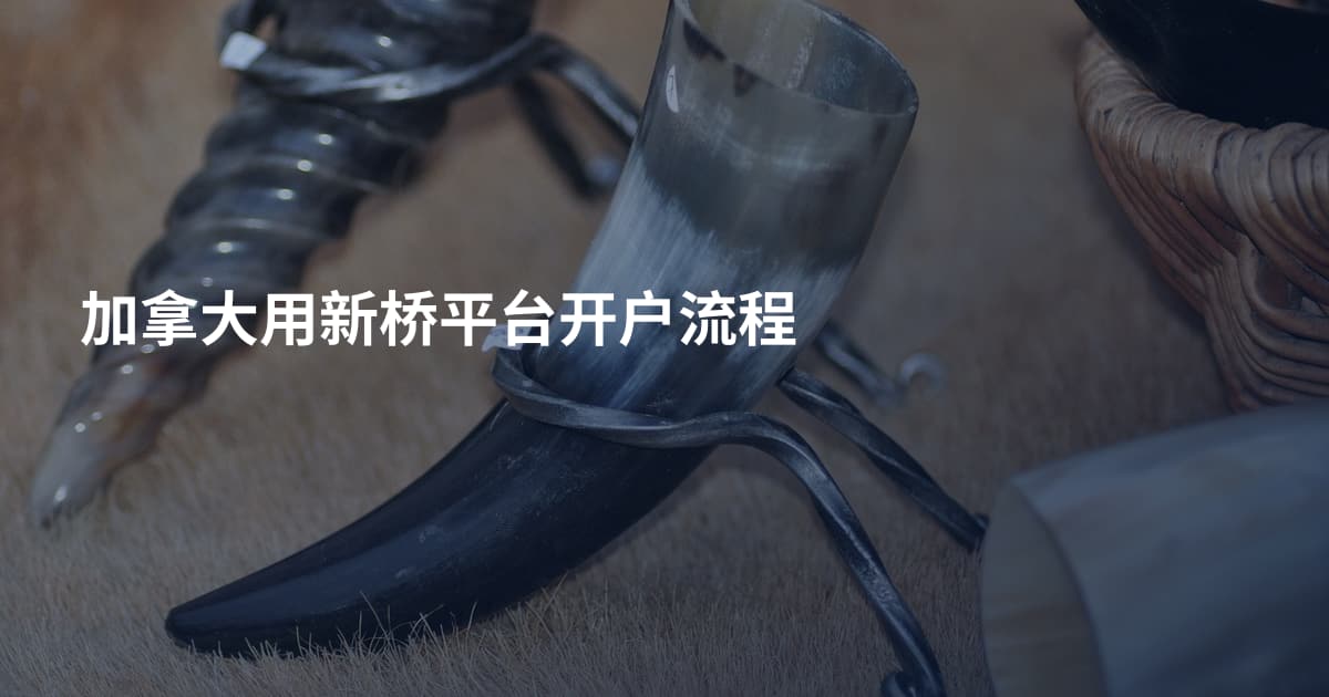 加拿大用新桥平台开户流程
