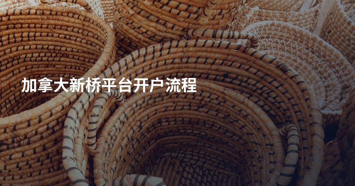 加拿大新桥平台开户流程