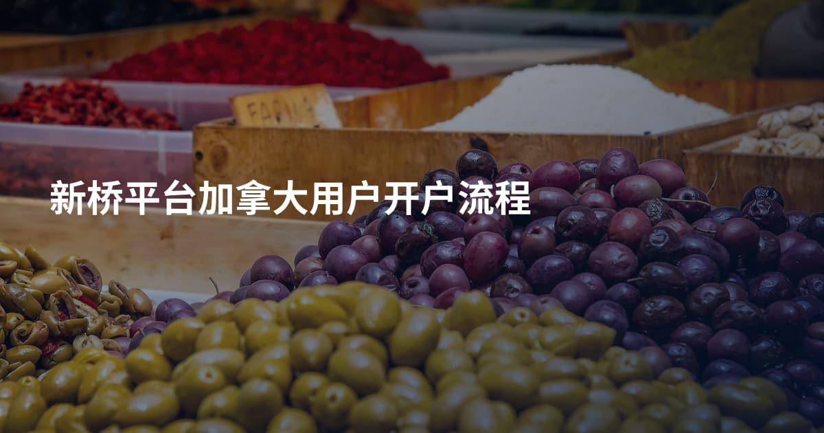 新桥平台加拿大用户开户流程