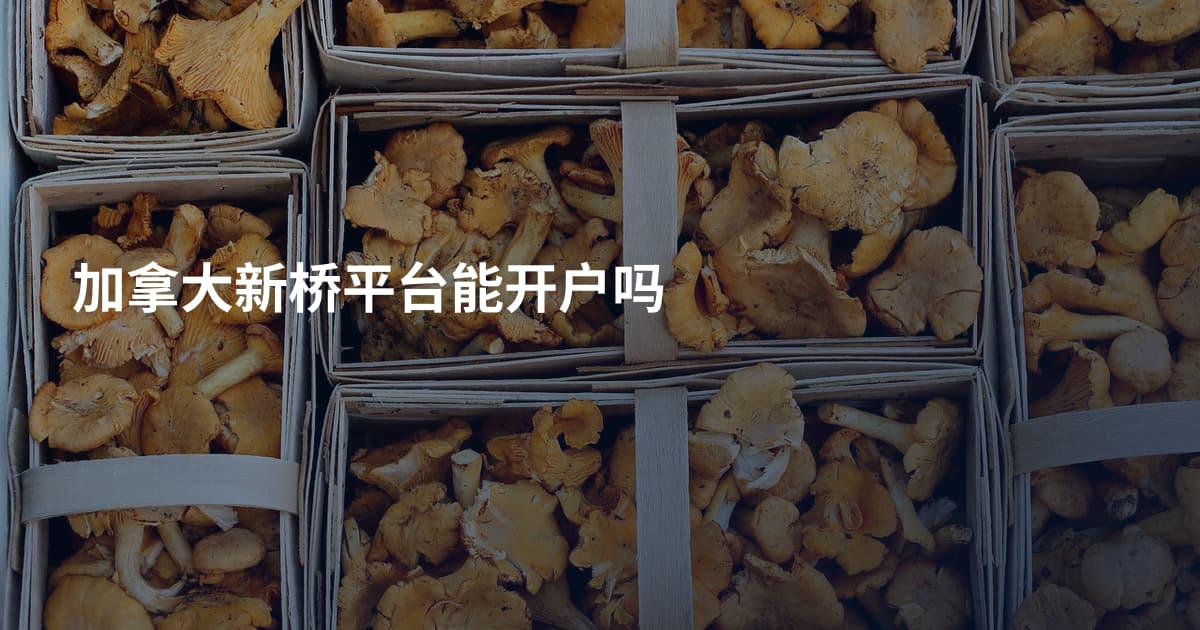 加拿大新桥平台能开户吗