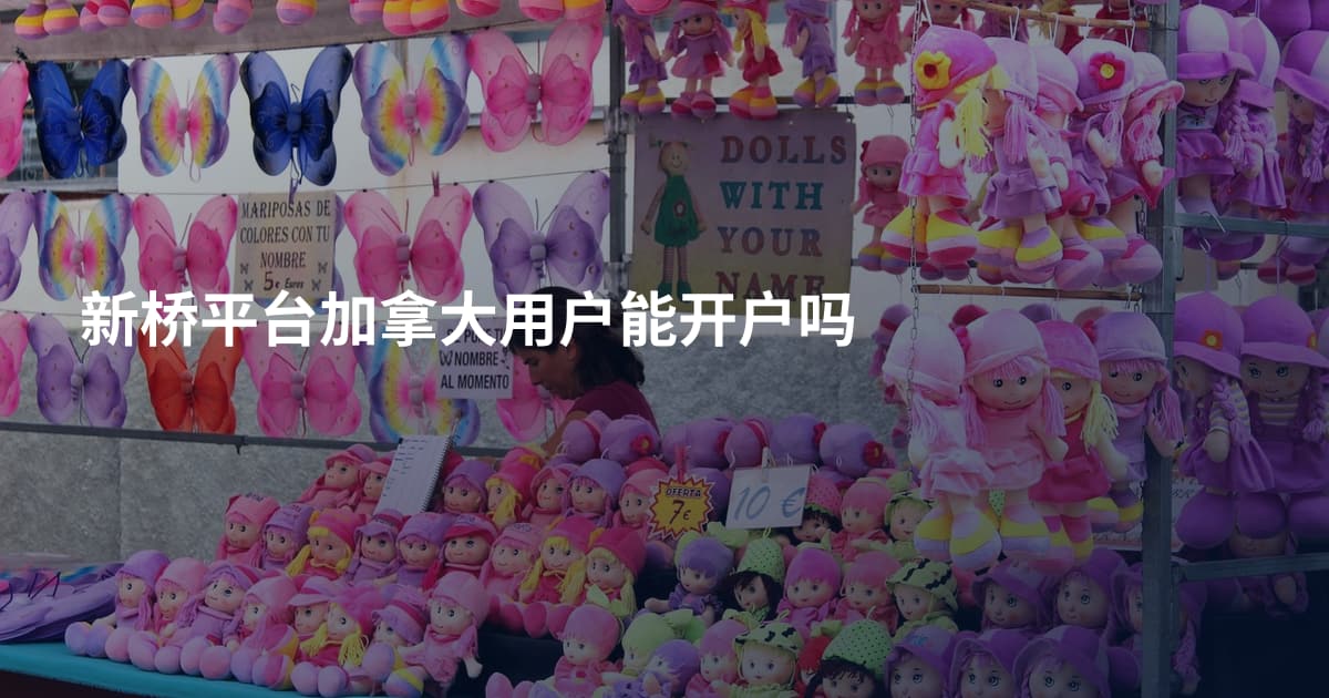 新桥平台加拿大用户能开户吗