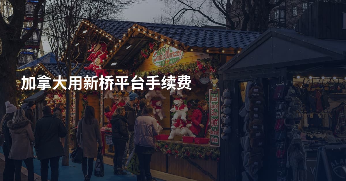 加拿大用新桥平台手续费