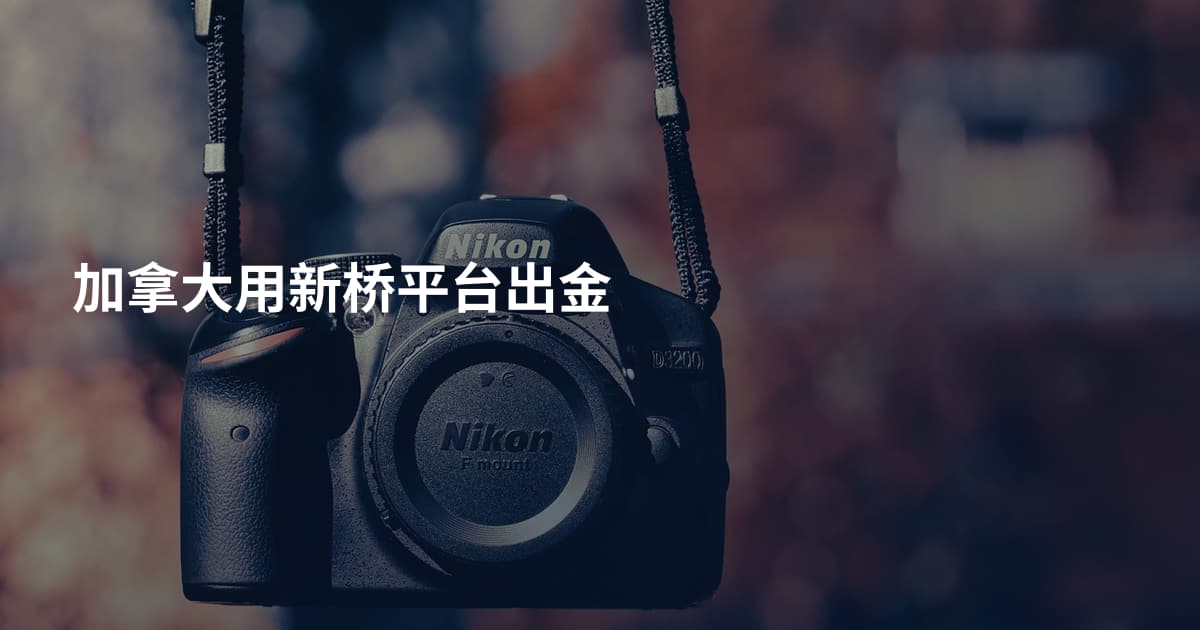 加拿大用新桥平台出金