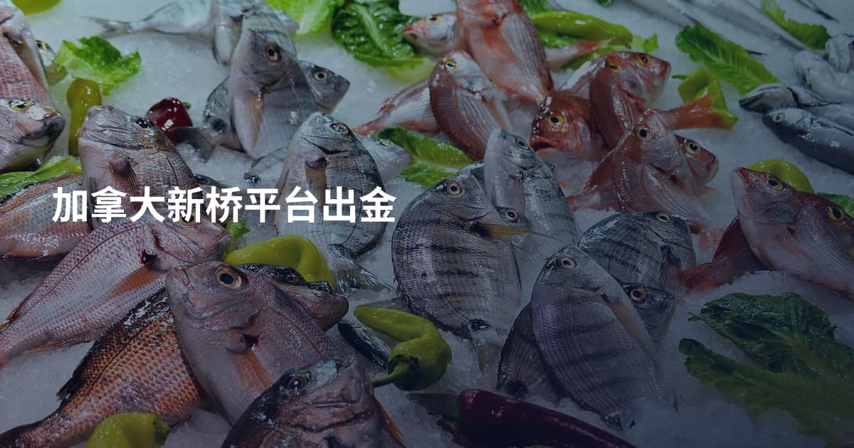 加拿大新桥平台出金