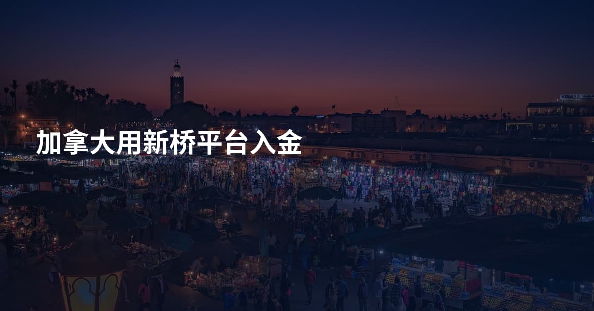 加拿大用新桥平台入金