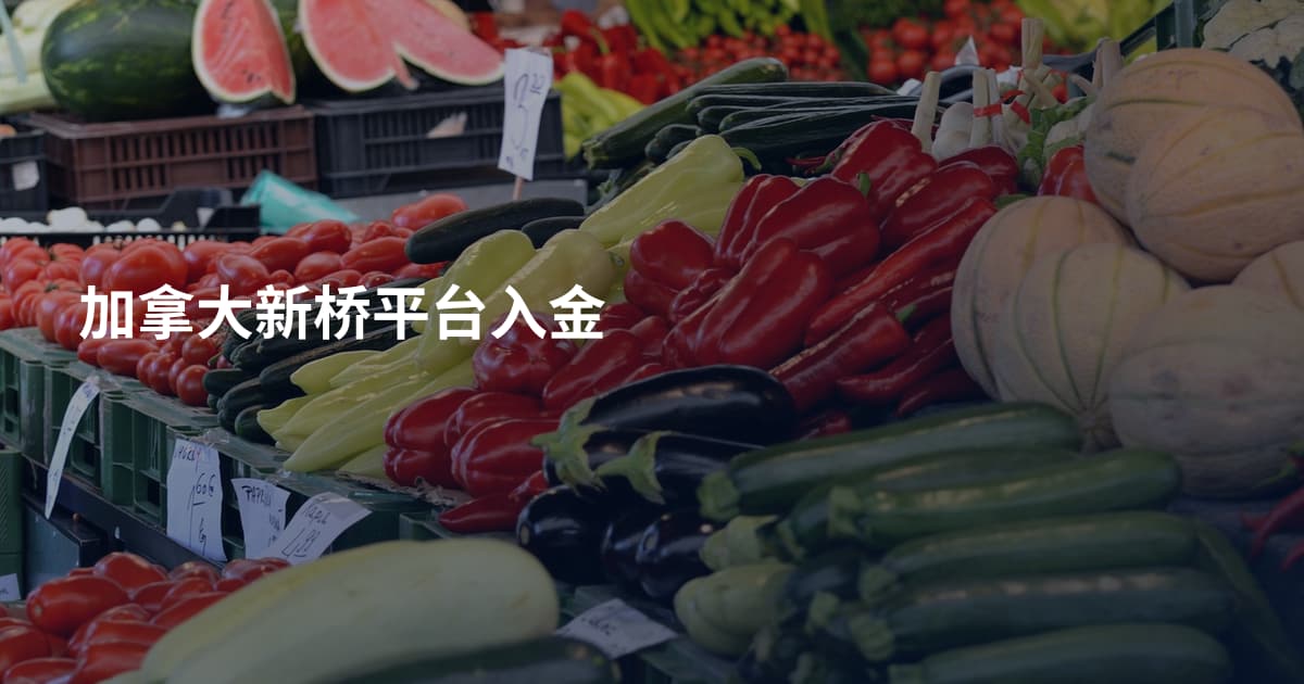 加拿大新桥平台入金
