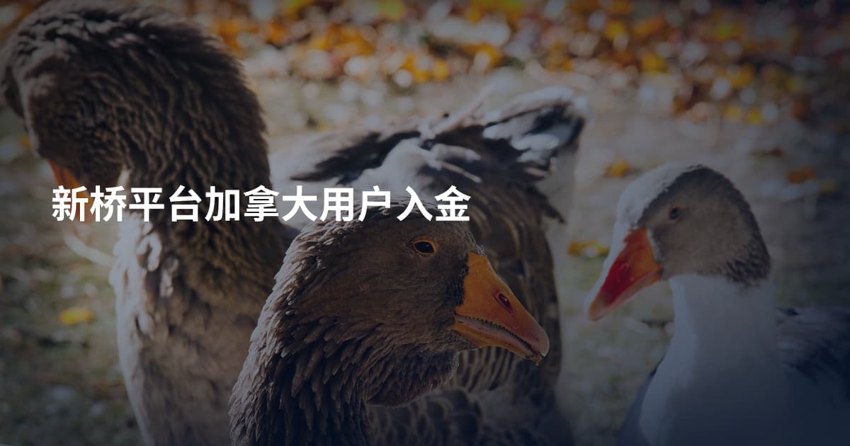 新桥平台加拿大用户入金