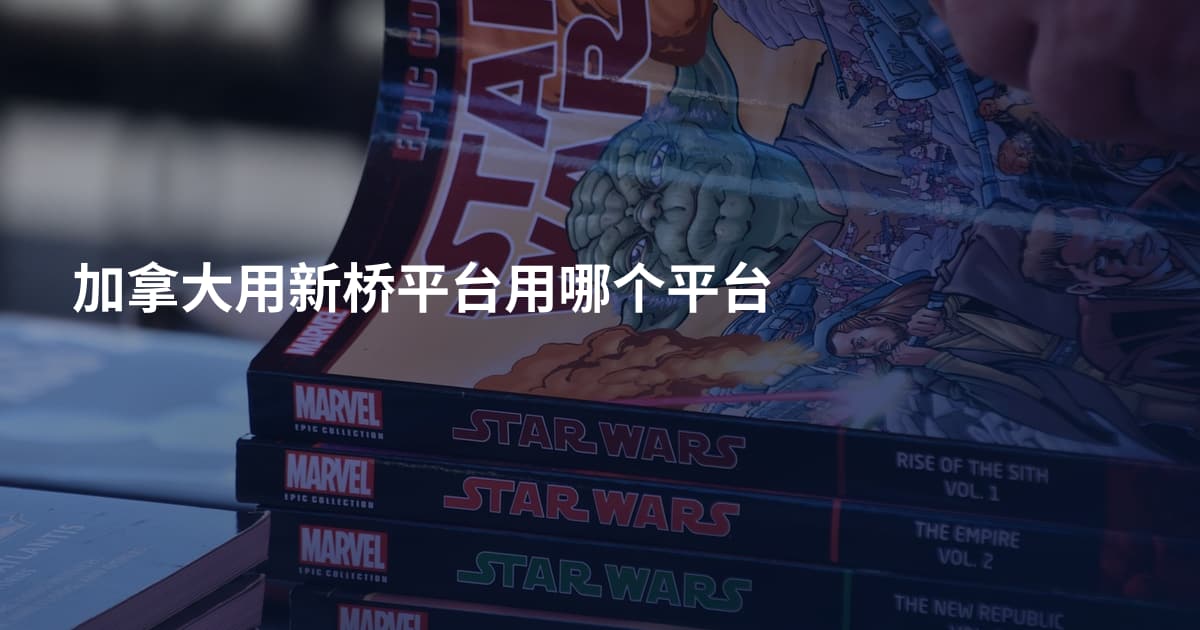 加拿大用新桥平台用哪个平台