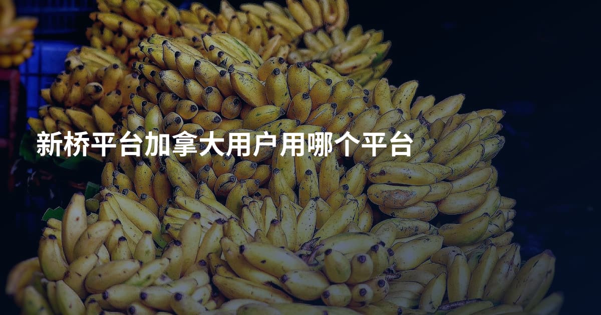 新桥平台加拿大用户用哪个平台