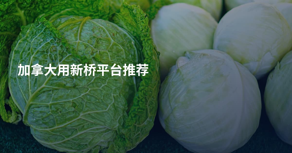 加拿大用新桥平台推荐