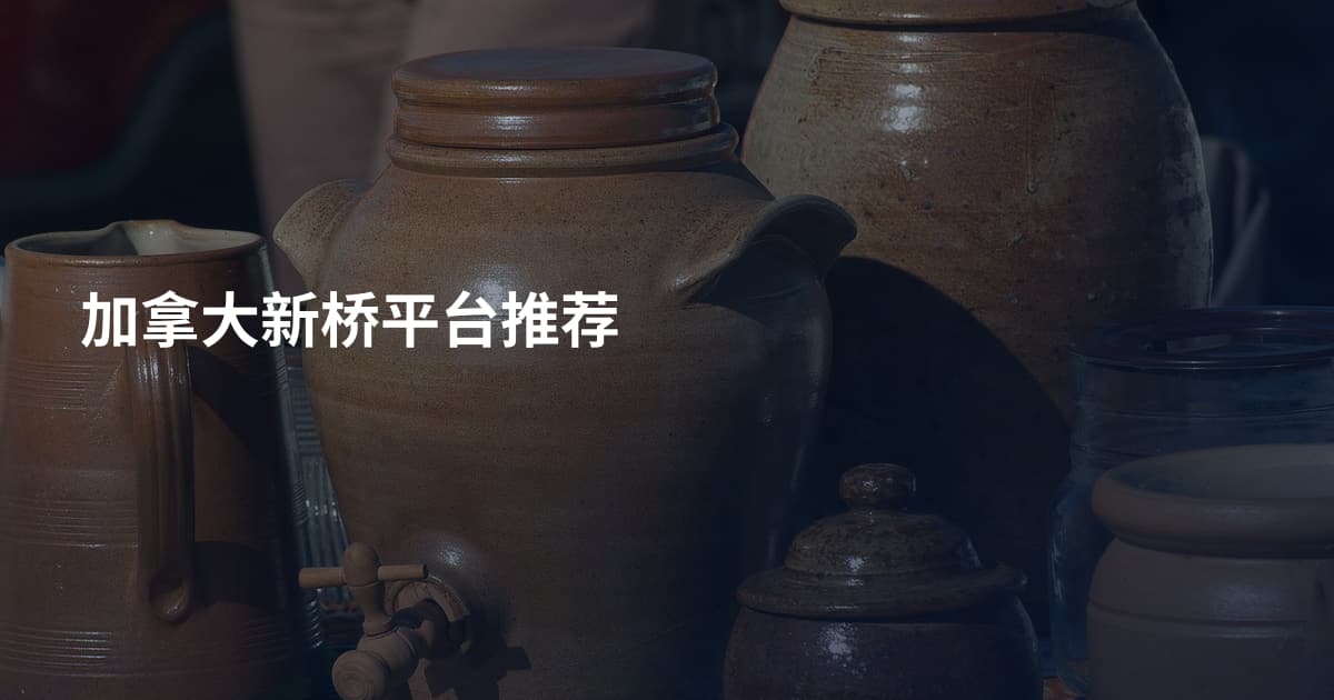 加拿大新桥平台推荐