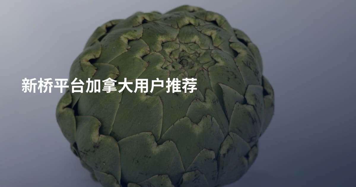 新桥平台加拿大用户推荐