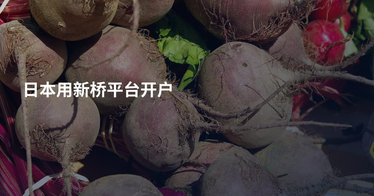 日本用新桥平台开户
