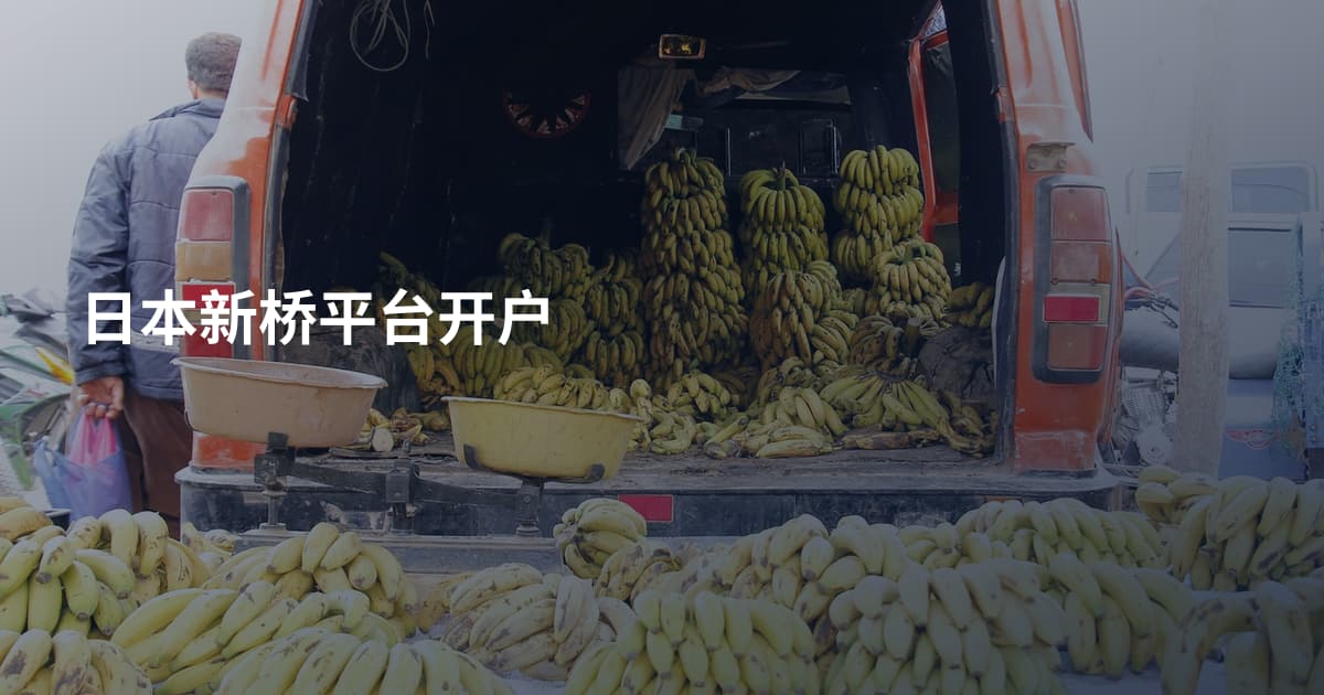 日本新桥平台开户