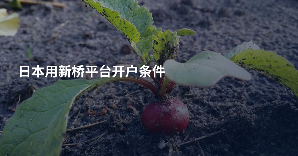 日本用新桥平台开户条件