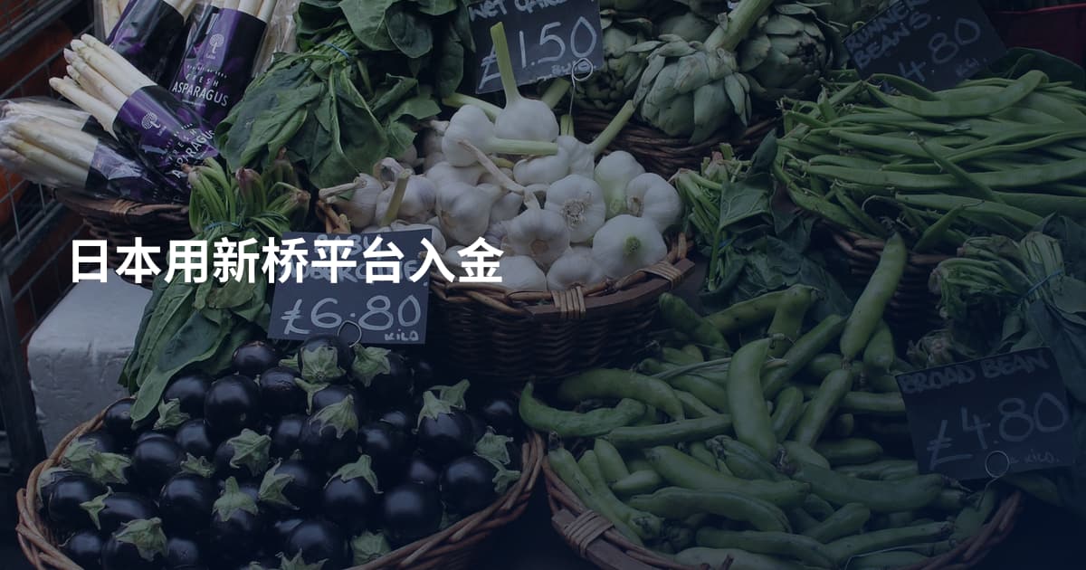 日本用新桥平台入金