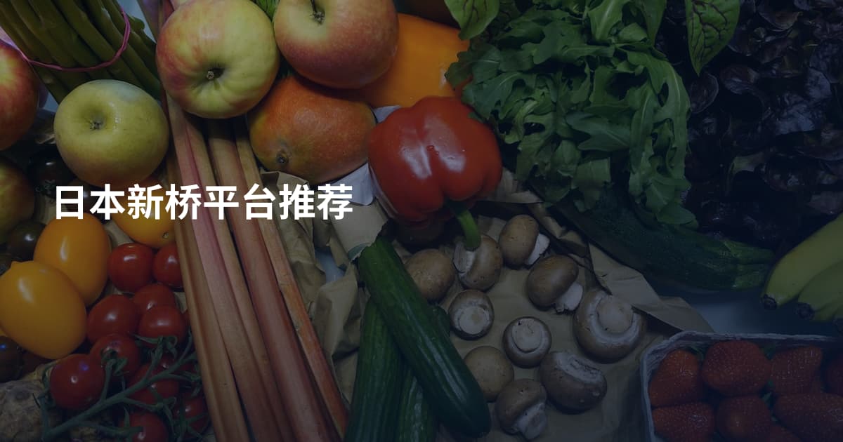 日本新桥平台推荐