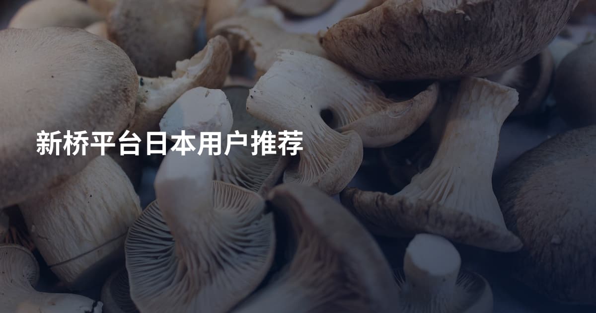 新桥平台日本用户推荐