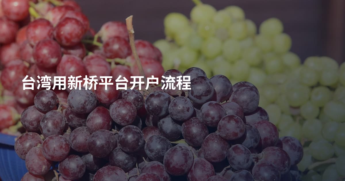 台湾用新桥平台开户流程