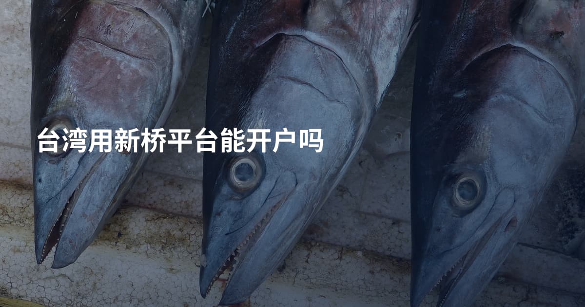 台湾用新桥平台能开户吗