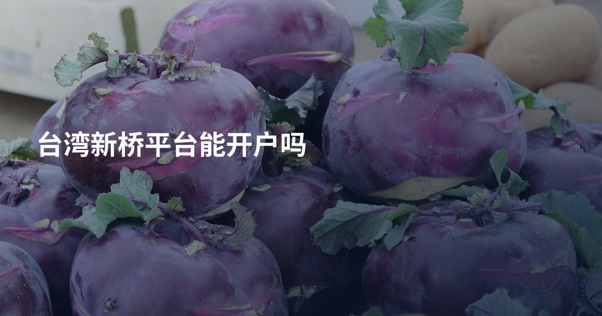 台湾新桥平台能开户吗