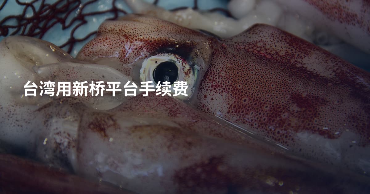 台湾用新桥平台手续费
