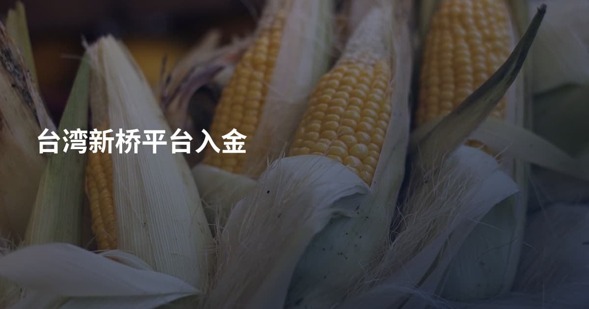 台湾新桥平台入金