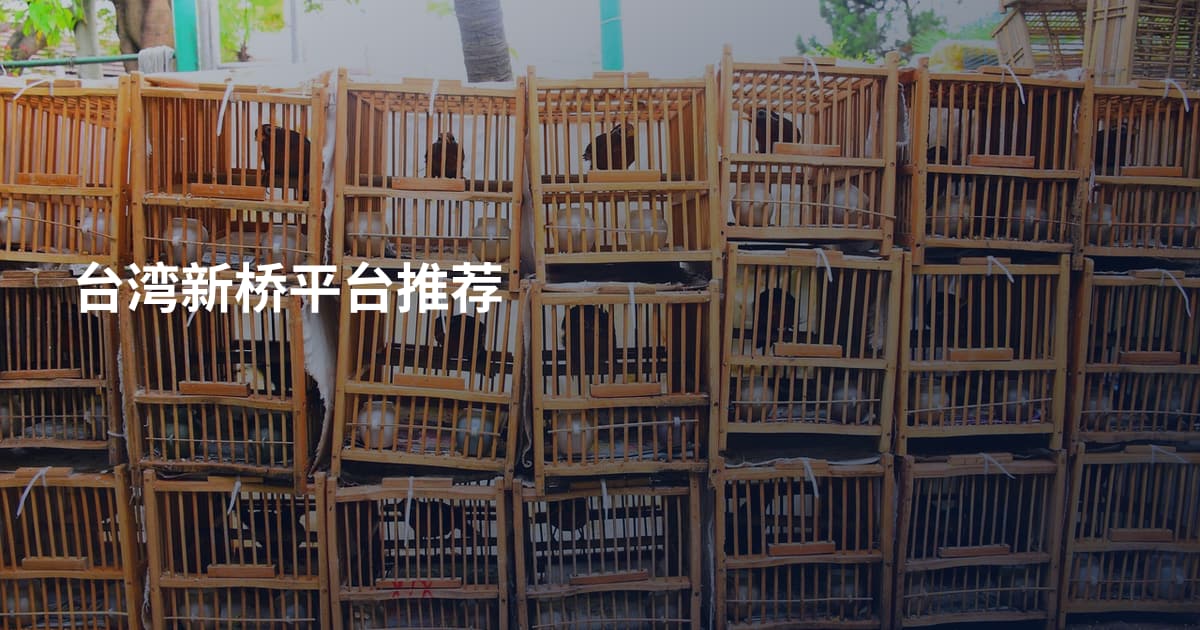 台湾新桥平台推荐