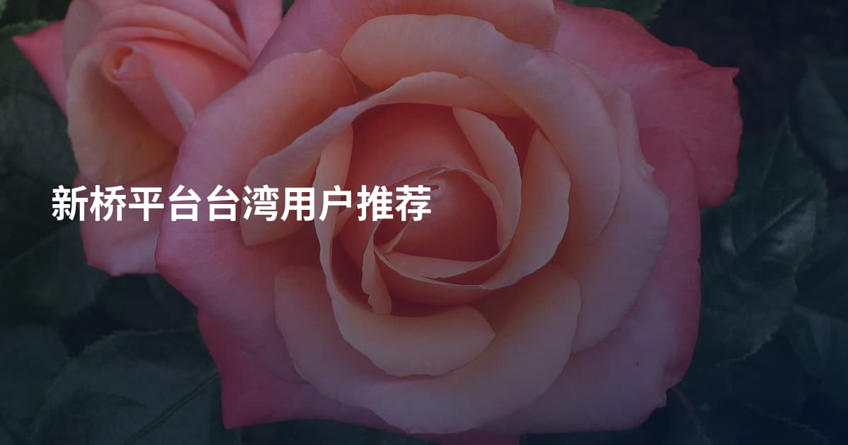 新桥平台台湾用户推荐
