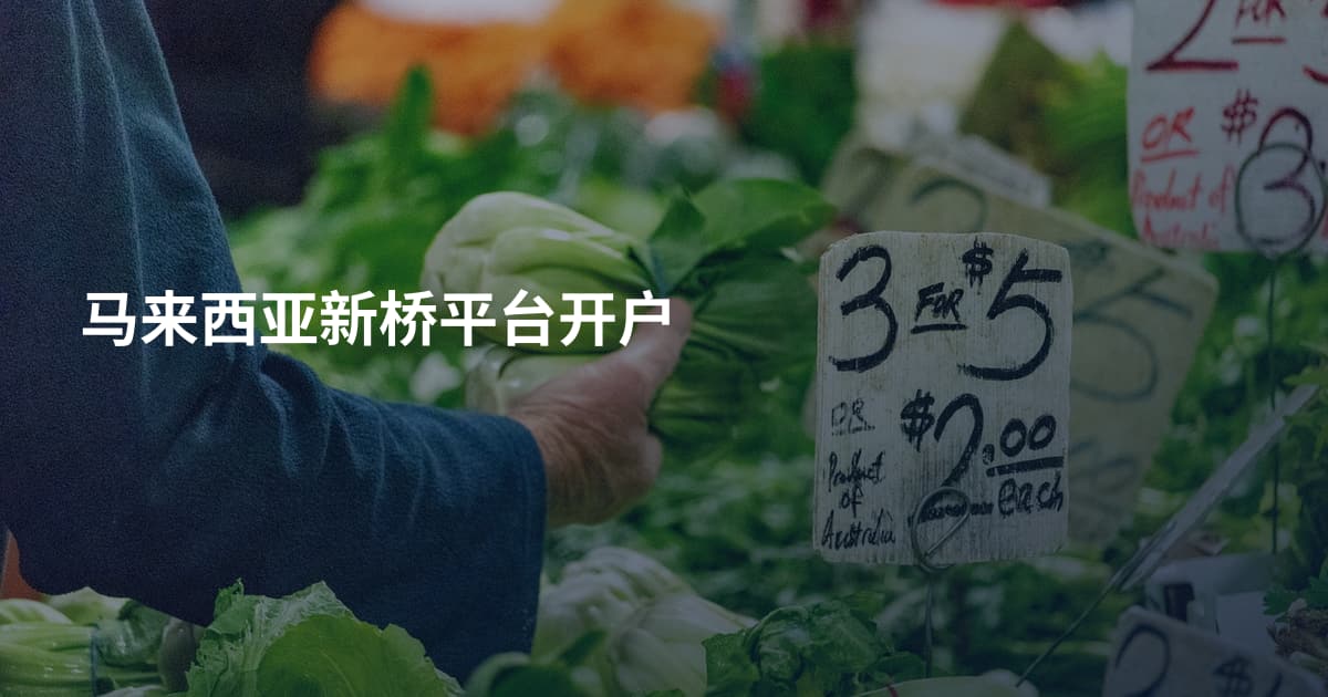 马来西亚新桥平台开户