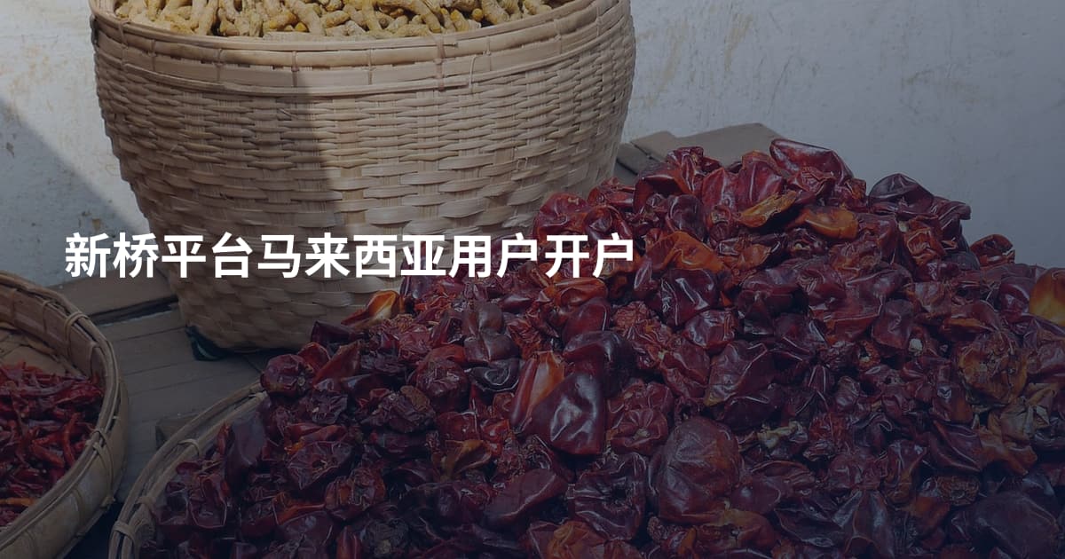 新桥平台马来西亚用户开户