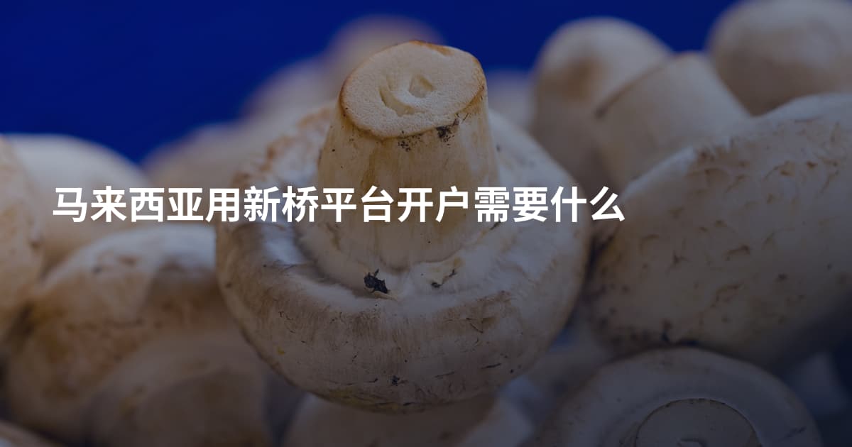 马来西亚用新桥平台开户需要什么