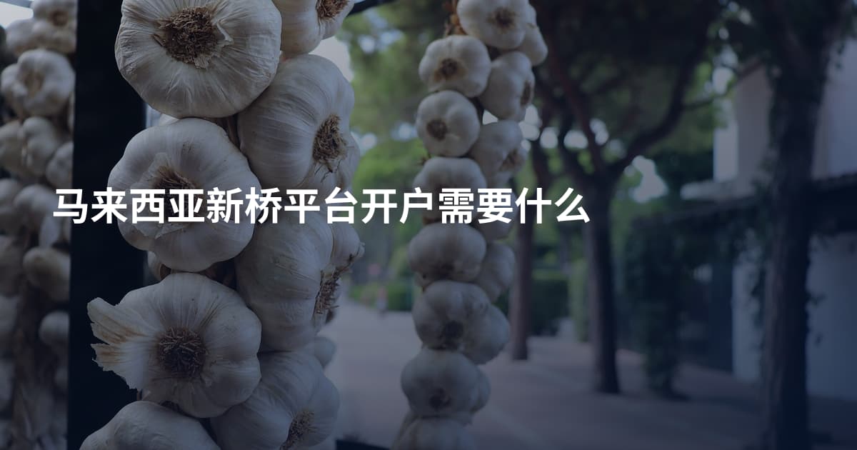 马来西亚新桥平台开户需要什么